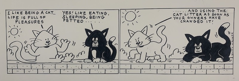 The Mews cat cartoon